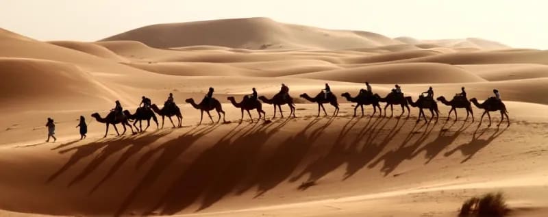 03 Days Morocco Sahara Desert  Tours